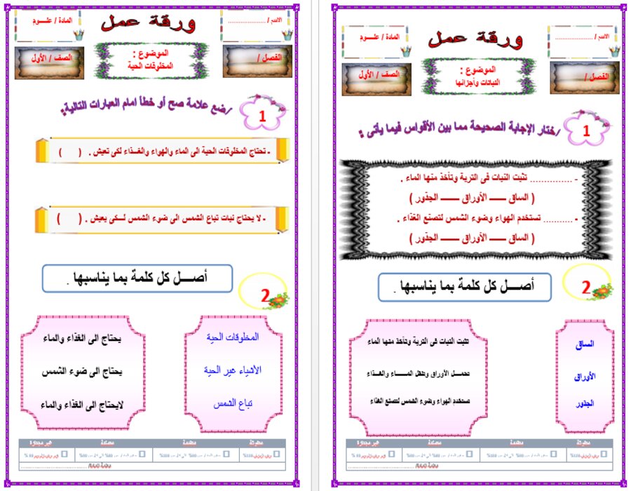 اختبار علوم أول ابتدائي الفصل الأول اختبار علوم أول ابتدائي الفصل الأول