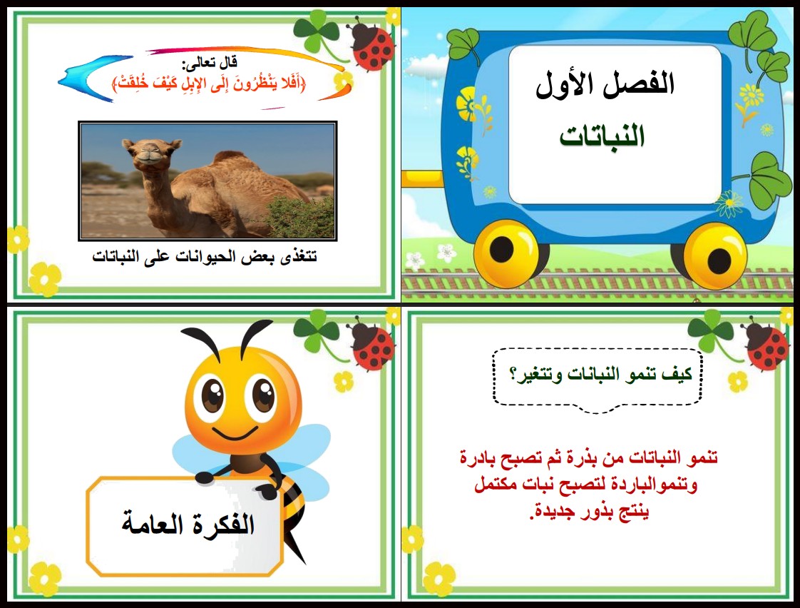 توزيع علوم ثانى ابتدائى الفصل الأول توزيع علوم ثانى ابتدائى الفصل الأول