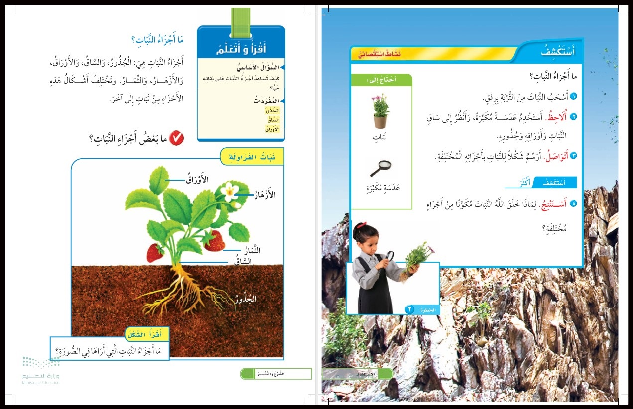 توزيع العلوم للصف الأول الإبتدائى الفصل الدراسى الأول توزيع العلوم للصف الأول الإبتدائى الفصل الدراسى الأول