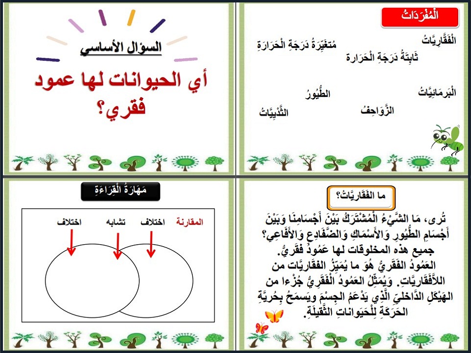 ورق عمل العلوم الصف الرابع الإبتدائي الفصل الدراسي الاول ورق عمل العلوم الصف الرابع الإبتدائي الفصل الدراسي الاول