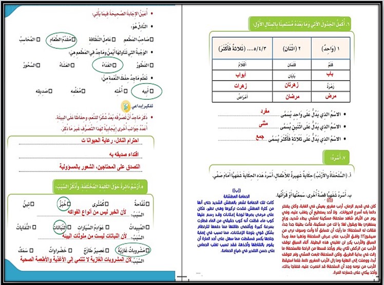 تحضير لغتي الصف الرابع الإبتدائي الفصل الدراسي الاول تحضير لغتي الصف الرابع الإبتدائي الفصل الدراسي الاول