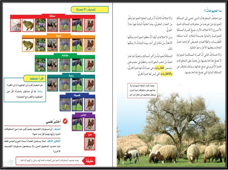 توزيع العلوم الصف الخامس الابتدائي الفصل الدراسي الاول توزيع العلوم الصف الخامس الابتدائي الفصل الدراسي الاول