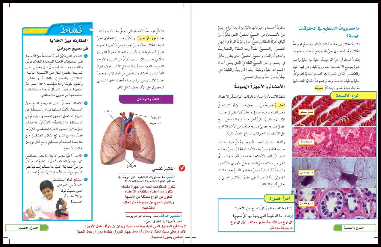 حل أسئلة العلوم سادس إبتدائى الفصل الدراسى الأول حل أسئلة العلوم الصف السادس الإبتدائى الفصل الدراسى الأول