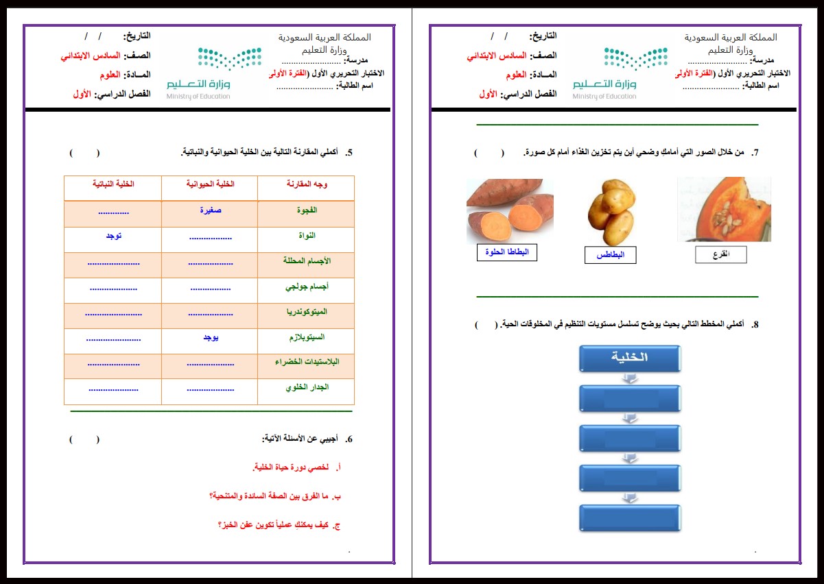 أوراق عمل مادة علوم للصف السادس الابتدائي الفصل الدراسي الأول أوراق عمل مادة علوم للصف السادس الابتدائي الفصل الدراسي الأول