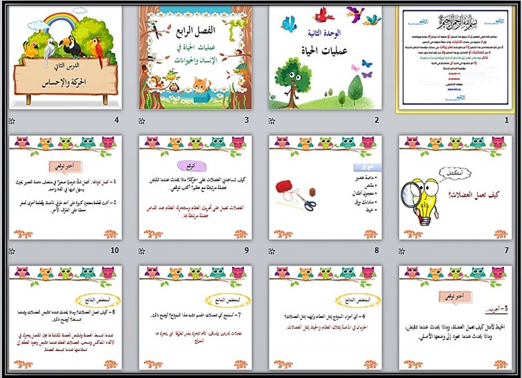 تحضير منصة مدرستي مادة العلوم للصف السادس الابتدائي فصل دراسي أول تحضير منصة مدرستي مادة العلوم للصف السادس الابتدائي فصل دراسي أول