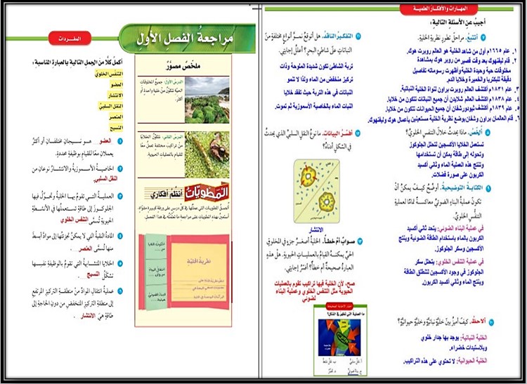تحضير منصة مدرستي مادة العلوم للصف السادس الابتدائي فصل دراسي أول تحضير منصة مدرستي مادة العلوم للصف السادس الابتدائي فصل دراسي أول