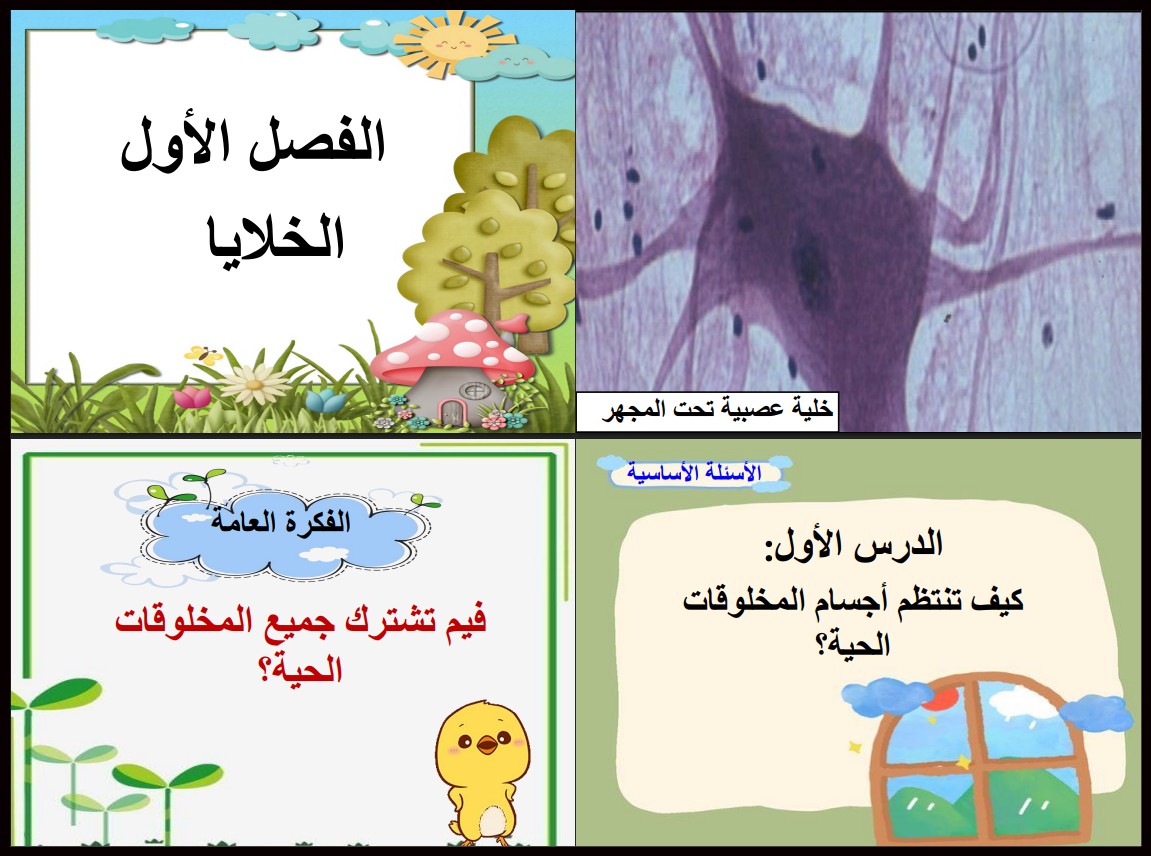 كتاب مادة العلوم الصف السادس الإبتدائى الفصل الدراسى الأول كتاب مادة العلوم الصف السادس الإبتدائى الفصل الدراسى الأول