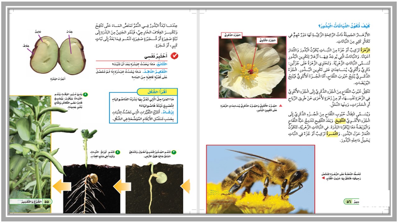كتاب الطالب مادة العلوم الصف الثالث الإبتدائى الفصل الدراسى الأول كتاب الطالب مادة العلوم الصف الثالث الإبتدائى الفصل الدراسى الأول