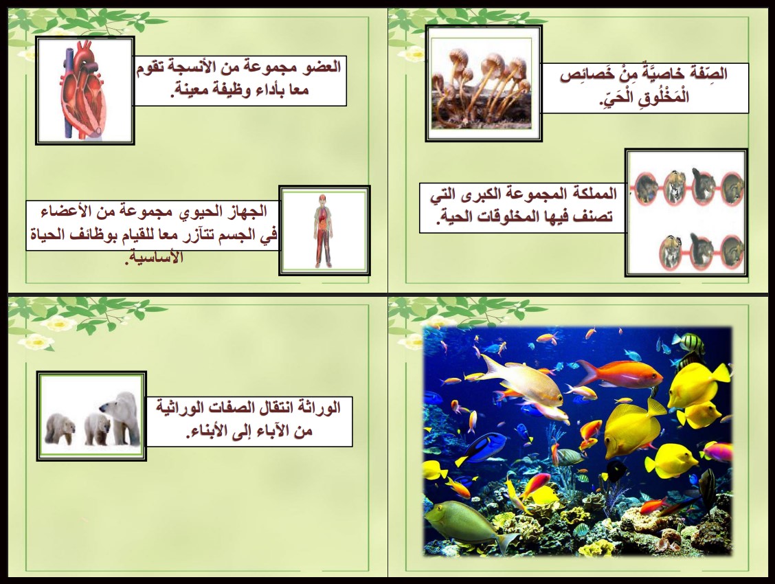 كتاب الطالب مادة العلوم الصف الرابع الإبتدائى الفصل الدراسى الأول كتاب الطالب مادة العلوم الصف الرابع الإبتدائى الفصل الدراسى الأول