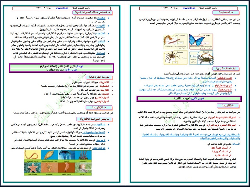 ملخص علوم رابع ابتدائي الفصل الأول ملخص علوم رابع ابتدائي الفصل الأول