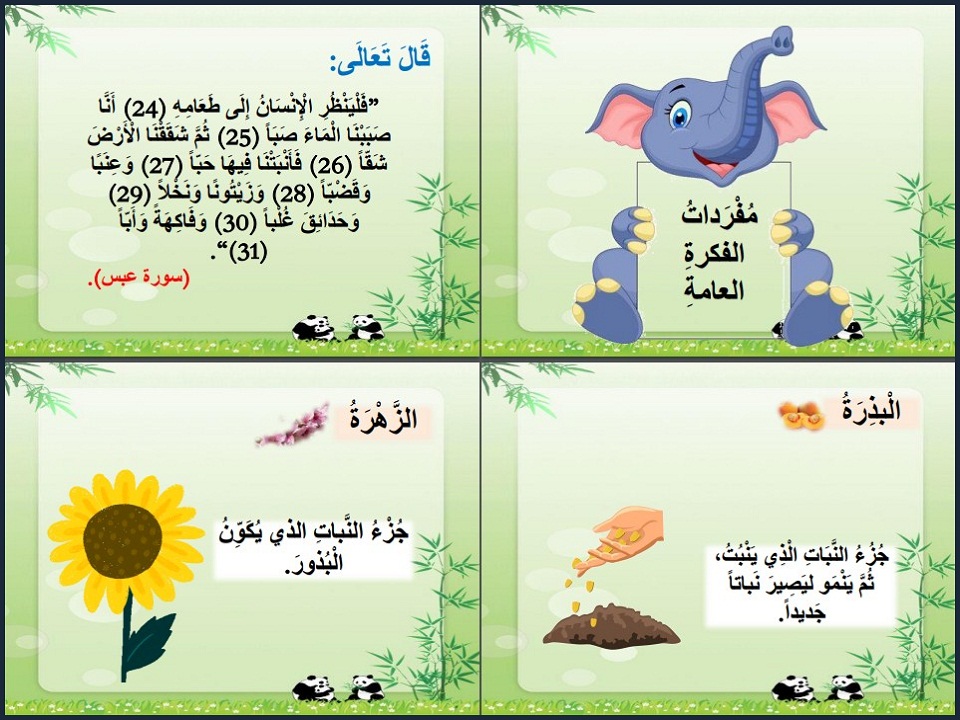 تحضير منصة مدرستي مادة علوم صف أول إبتدائي فصل دراسي اول تحضير منصة مدرستي مادة علوم صف أول إبتدائي فصل دراسي اول