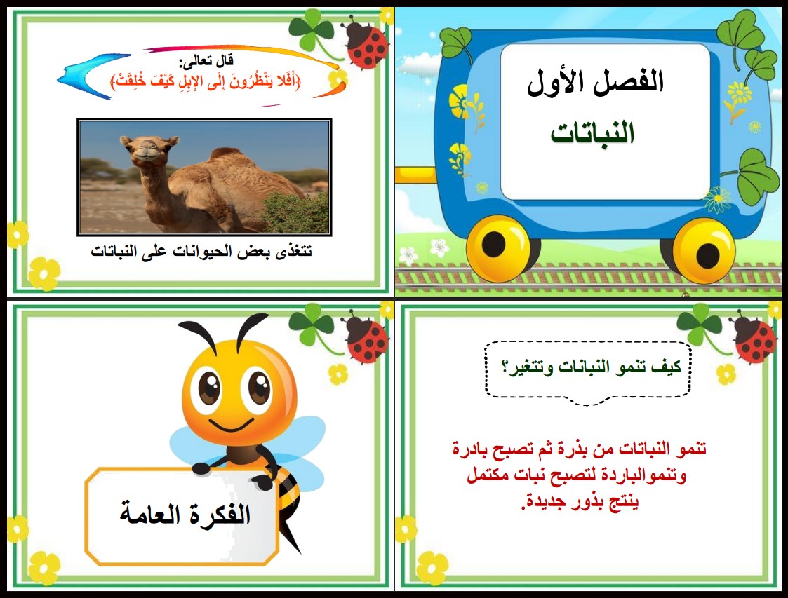 تحضير منصة مدرستي علوم ثاني إبتدائي فصل دراسي اول تحضير منصة مدرستي علوم ثاني إبتدائي فصل دراسي اول