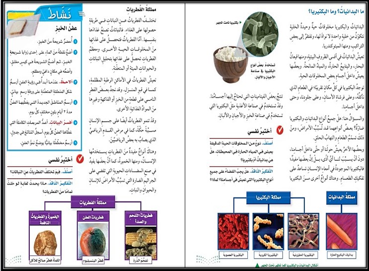 بوربوينت مادة العلوم للصف الخامس الابتدائي الفصل الدراسي الأول بوربوينت مادة العلوم للصف الخامس الابتدائي الفصل الدراسي الأول