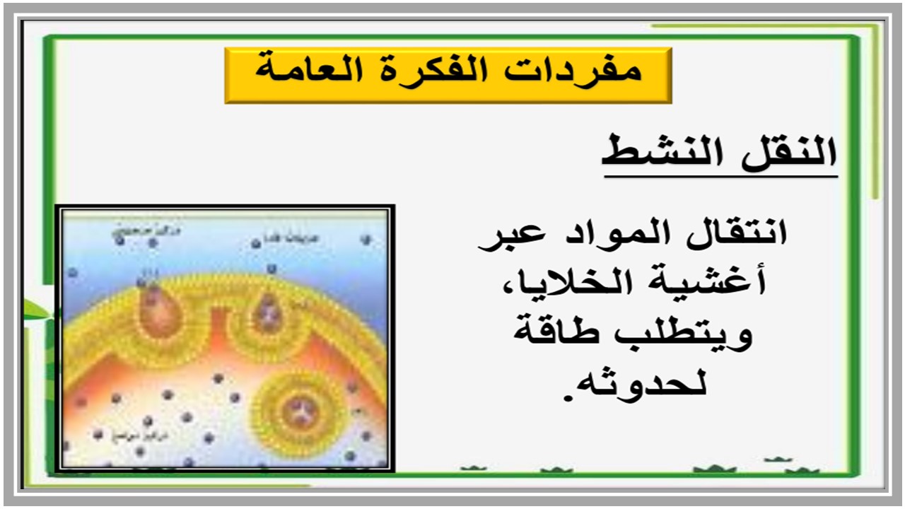 بوربوينت مادة العلوم للصف السادس الابتدائي الفصل الدراسي الأول بوربوينت مادة العلوم للصف السادس الابتدائي الفصل الدراسي الأول