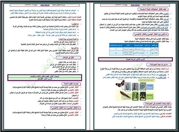 حل أسئلة مادة العلوم للصف الخامس الابتدائي الفصل الدراسي الأول حل أسئلة مادة العلوم للصف الخامس الابتدائي الفصل الدراسي الأول