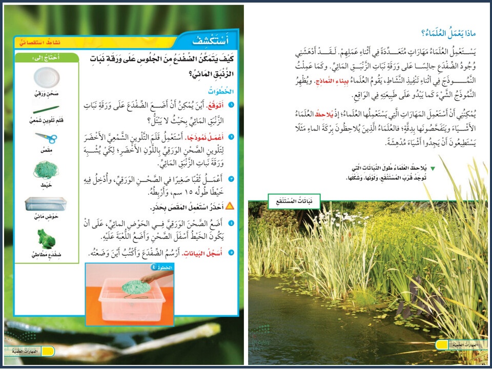 مهارات مادة العلوم الصف الثاني الابتدائي الفصل الدراسي اول مهارات مادة العلوم الصف الثاني الابتدائي الفصل الدراسي اول