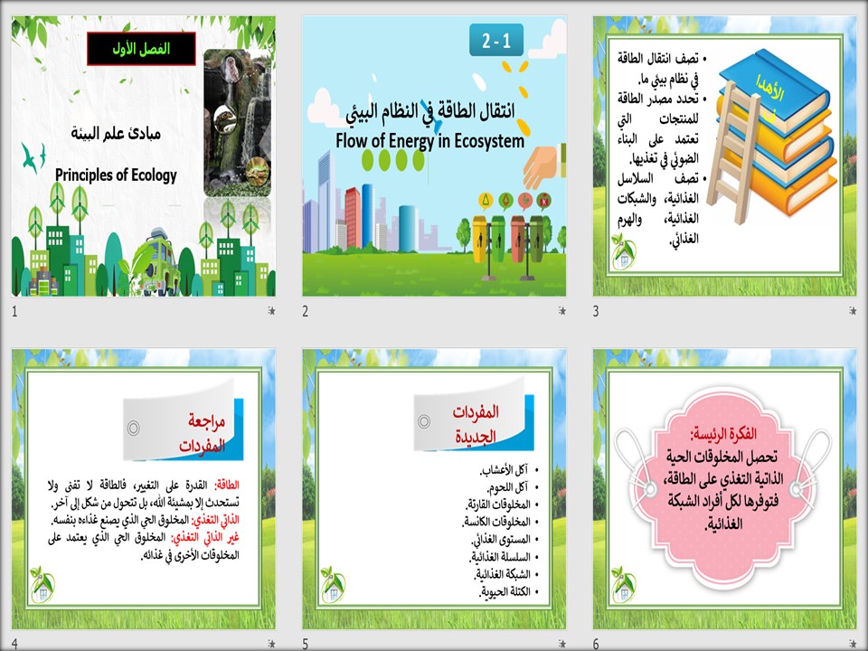 تحضير مادة علم البيئة نظام المسارات السنة الاولى المشتركة فصل دراسي ثاني تحضير مادة علم البيئة نظام المسارات السنة الاولى المشتركة فصل دراسي ثاني