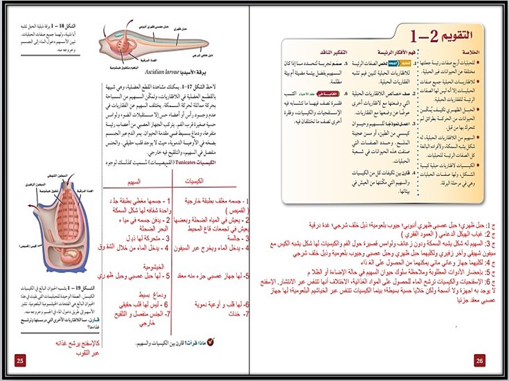 أوراق عمل مادة الأحياء (2-1) ثاني ثانوي مسارات الفصل الدراسي الأول أوراق عمل مادة الأحياء (2-1) ثاني ثانوي مسارات الفصل الدراسي الأول