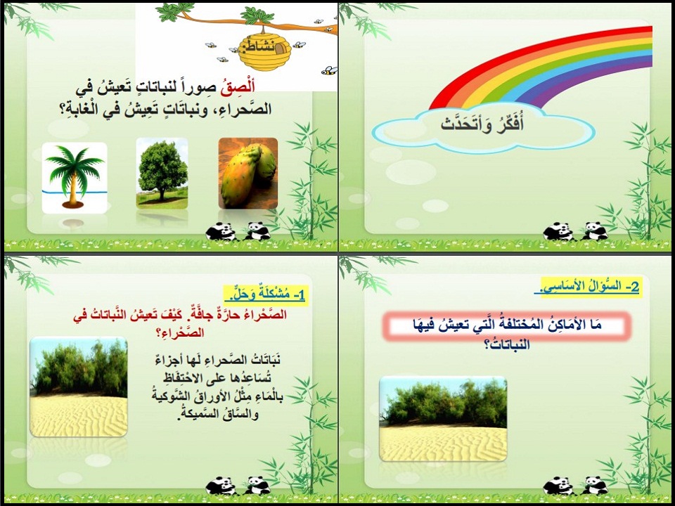 حل اسئلة علوم أول ابتدائي فصل أول حل اسئلة علوم أول ابتدائي فصل أول
