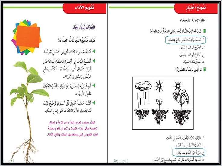 ورق عمل علوم ثاني ابتدائي فصل أول ورق عمل علوم ثاني ابتدائي فصل أول