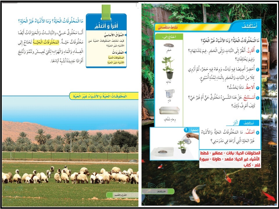 ورق عمل مادة العلوم للصف الاول الابتدائي الفصل الأول ورق عمل مادة العلوم للصف الاول الابتدائي الفصل الأول