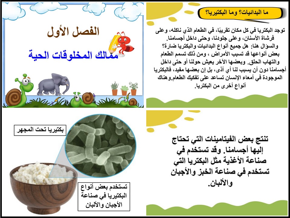 اختبارات علوم الصف الخامس الابتدائي الفصل الأول اختبارات علوم الصف الخامس الابتدائي الفصل الأول