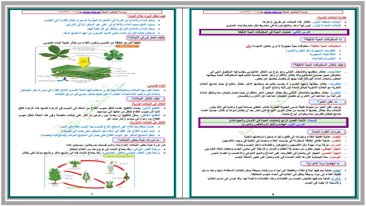 اختبارات علوم الصف السادس الابتدائي الفصل الأول اختبارات علوم الصف السادس الابتدائي الفصل الأول