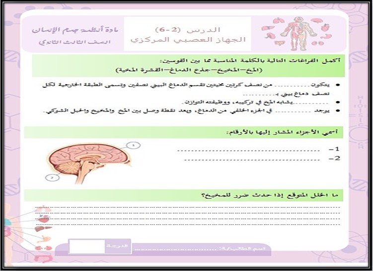 أوراق عمل مادة أنظمة جسم الإنسان مسارات أوراق عمل مادة أنظمة جسم الإنسان مسارات