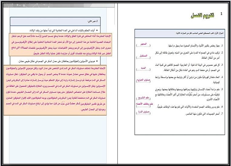 أوراق عمل مادة أنظمة جسم الإنسان مسارات أوراق عمل مادة أنظمة جسم الإنسان مسارات