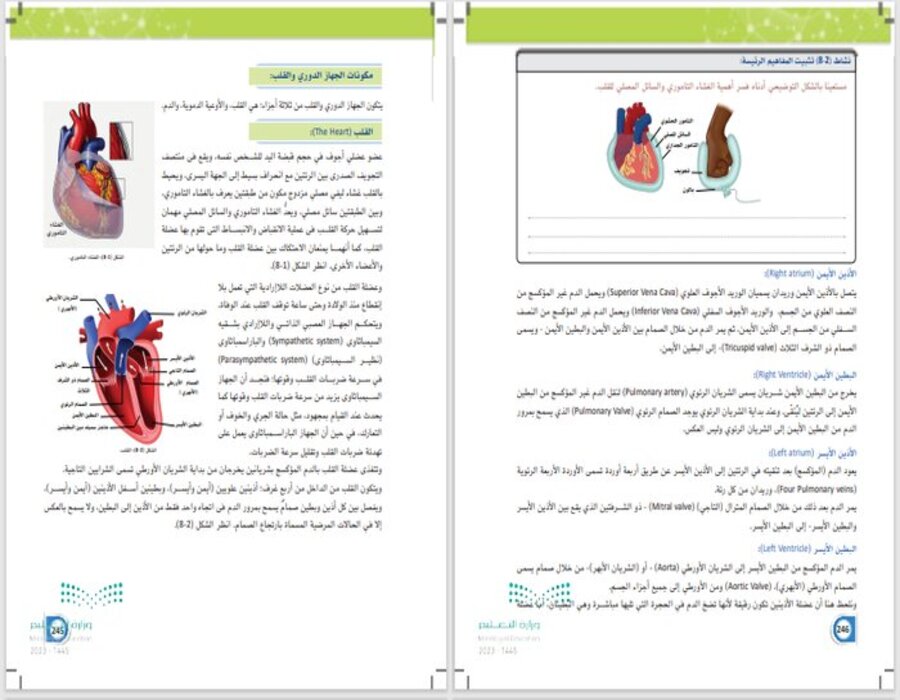 تحضير منصة مدرستي أنظمة جسم الانسان 1-2 مسارات تحضير منصة مدرستي أنظمة جسم الانسان 1-2 مسارات