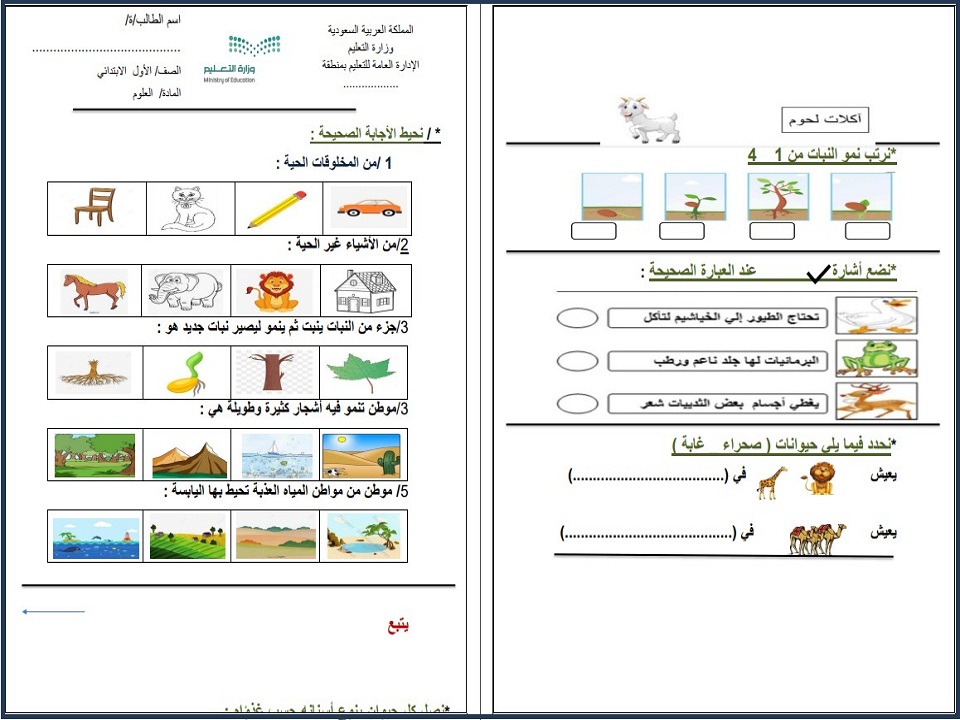 خطة التعلم الأسبوعية pdf خطة التعلم الأسبوعية pdf