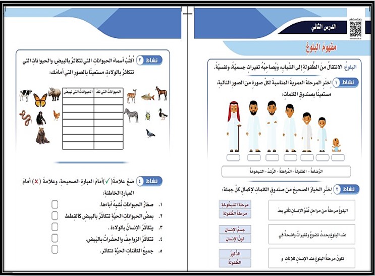 خطة التعلم الأسبوعية مادة العلوم سادس ابتدائي التربية الفكرية خطة التعلم الأسبوعية مادة العلوم سادس ابتدائي التربية الفكرية