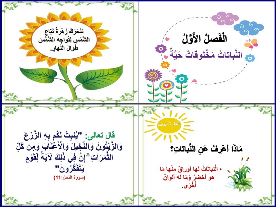 الفهم القرائي علوم اول ابتدائي الفهم القرائي علوم اول ابتدائي