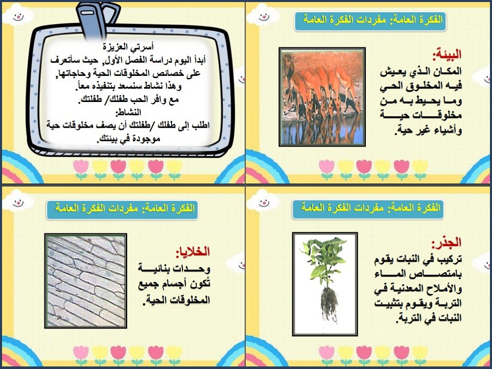 الفهم القرائي علوم ثالث ابتدائي الفهم القرائي علوم ثالث ابتدائي