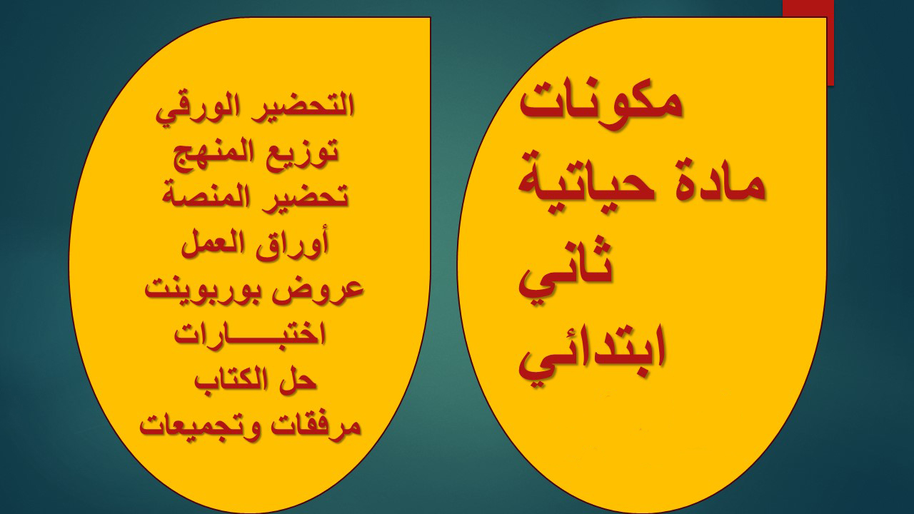 الفهم القرائي حياتية ثاني ابتدائي الفهم القرائي حياتية ثاني ابتدائي