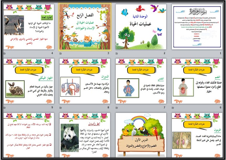 توثيق شواهد الأداء الوظيفي توثيق شواهد الأداء الوظيفي