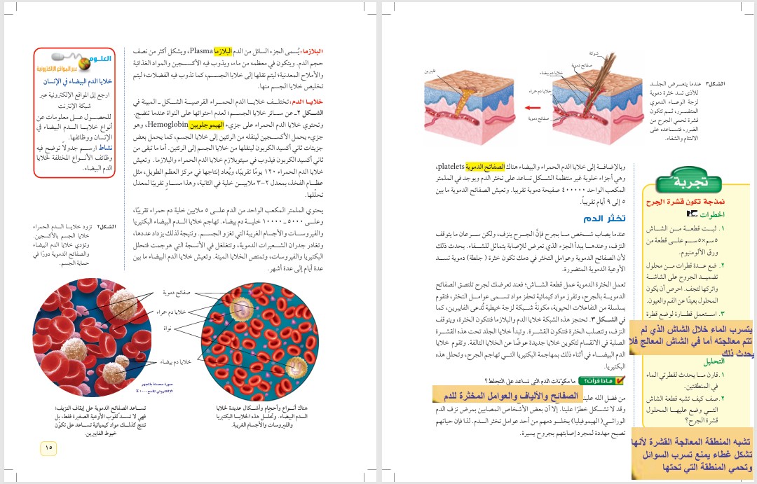 ورق عمل علوم الصف الثاني متوسط الفصل الدراسي الثاني