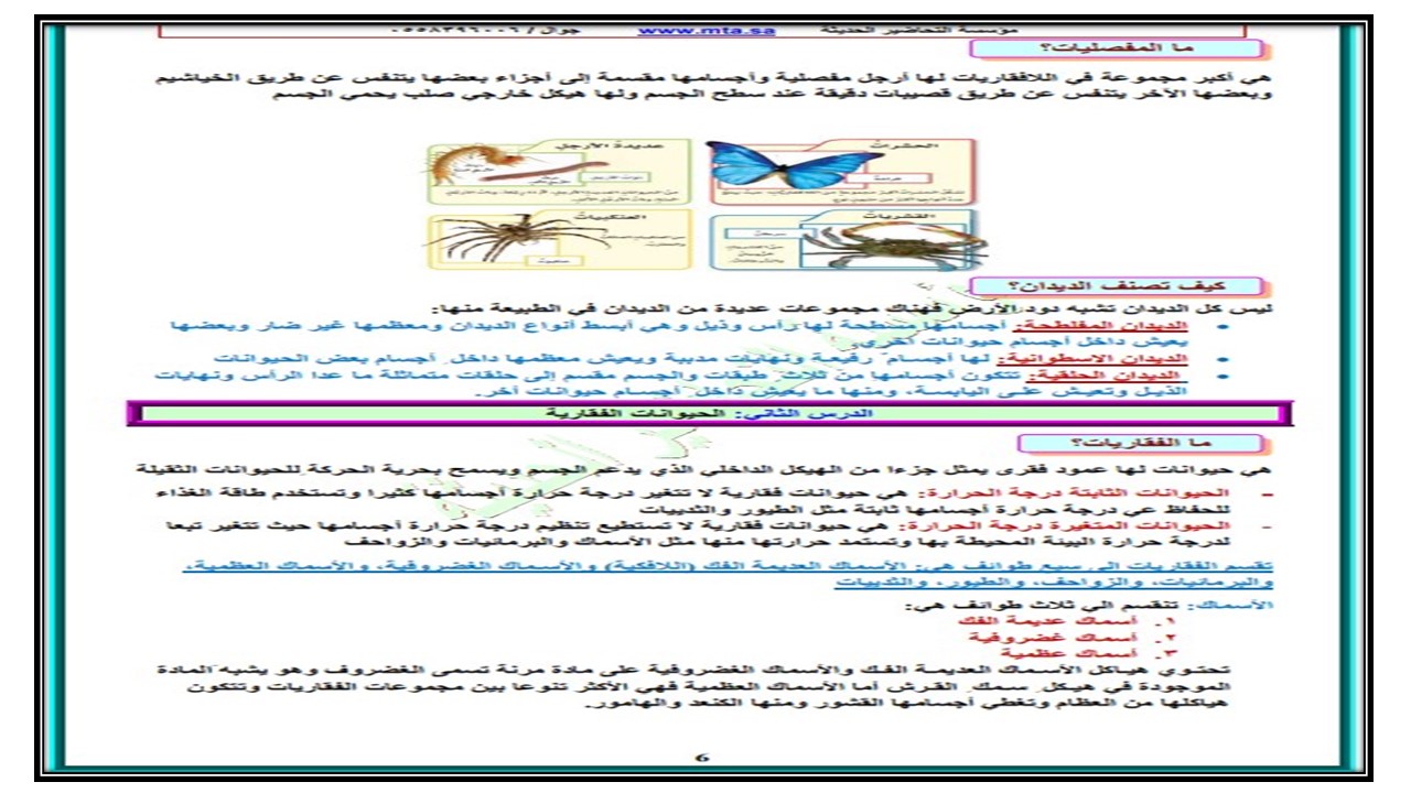 عروض بوربوينت درس الحيوانات الفقارية مادة العلوم الصف الرابع الابتدائي فصل دراسي ثاني