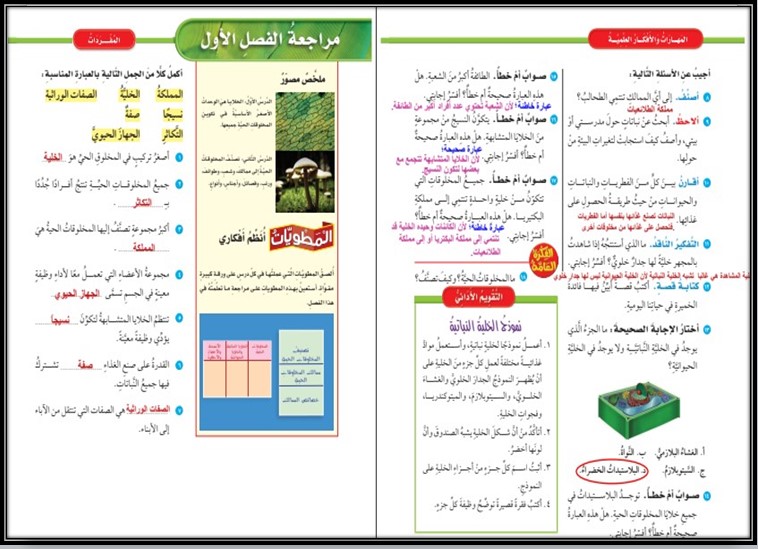 عروض باور بوينت مادة العلوم للصف الرابع الابتدائي الفصل الدراسي الاول