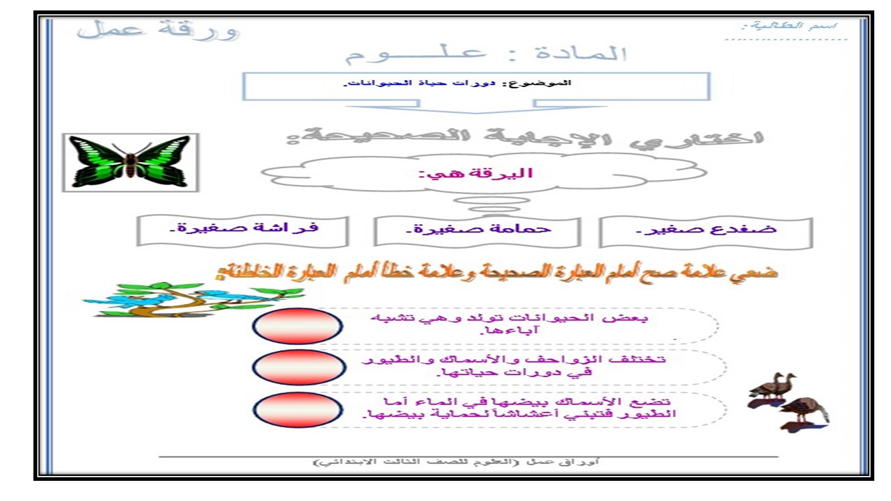 تحضير درس دورات حياة الحيوانات مادة العلوم الصف الثالث الابتدائي فصل دراسي أول