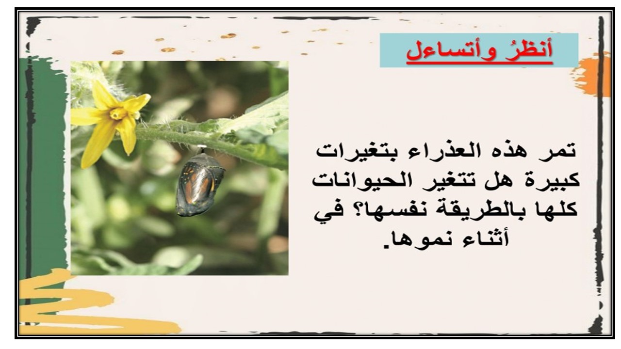 تحضير درس دورات حياة الحيوانات مادة العلوم الصف الثالث الابتدائي فصل دراسي أول