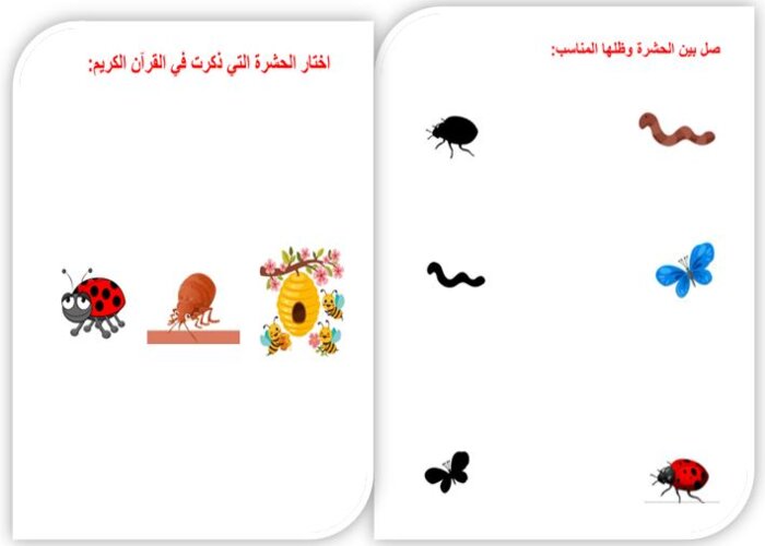 وحدة الحشرات رياض الاطفال