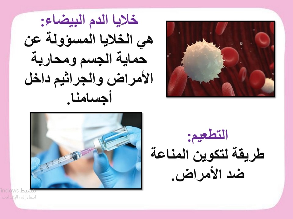 ورق عمل مادة علوم للصف الرابع الابتدائي الفصل الدراسي الثاني