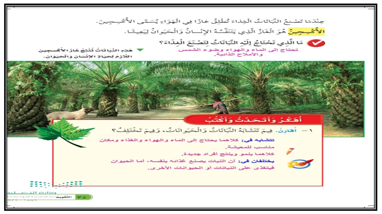 حل اسئلة مادة العلوم للصف الثانى الابتدائي فصل دراسي اول