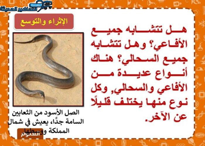 ورق عمل العلوم للصف الخامس الابتدائي الفصل الدراسى الاول