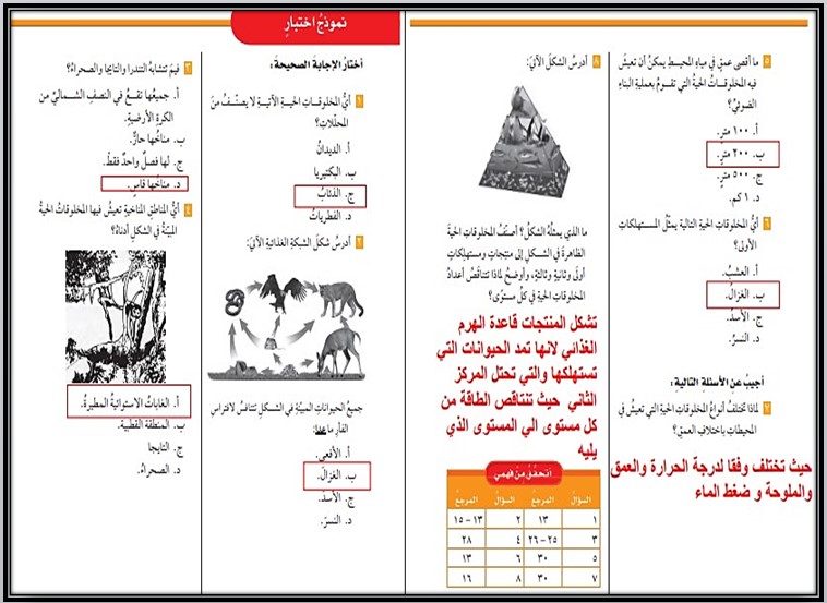 حل اسئلة مادة علوم صف سادس ابتدائى فصل دراسى ثاني