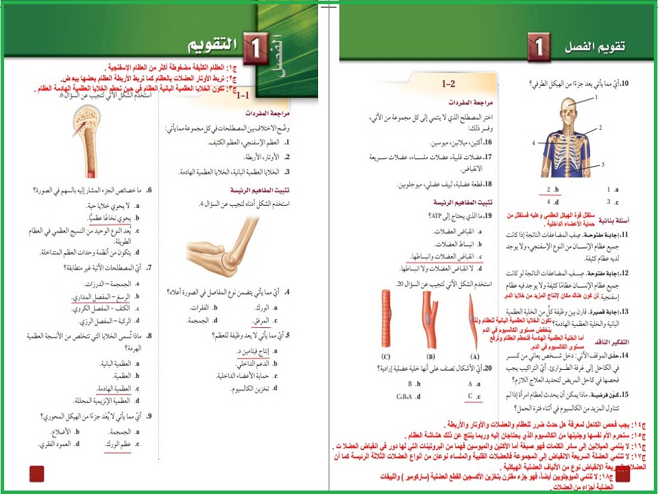 أوراق عمل أحياء ثاني ثانوي مسارات الفصل الدراسي الثاني