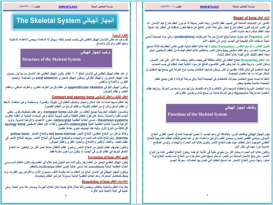 أوراق عمل أحياء ثاني ثانوي مسارات الفصل الدراسي الثاني