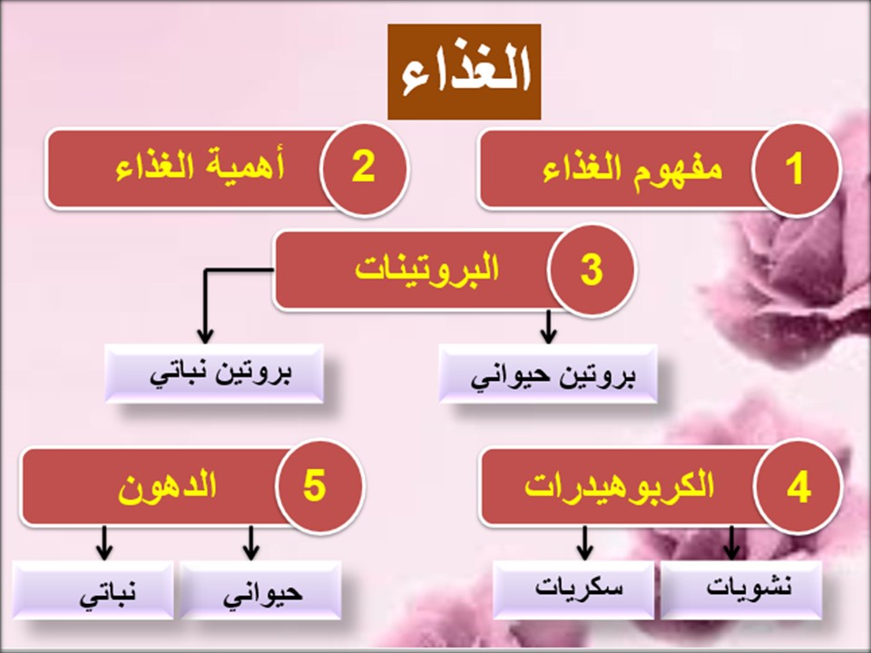 أوراق عمل مادة المهارات الحياتية أول كبيرات فصل دراسي اول