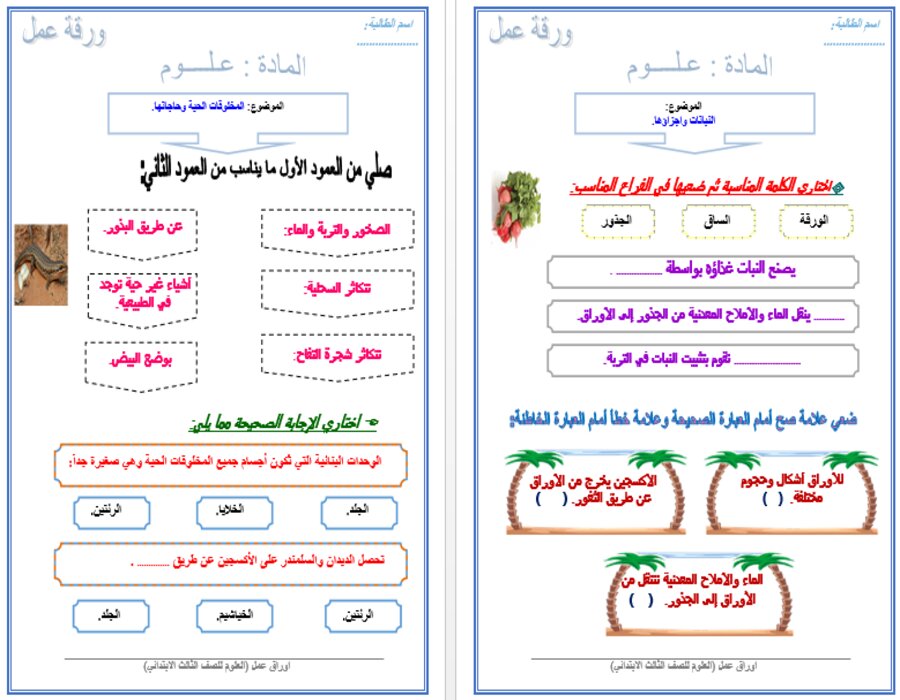 تحضير لمادة العلوم الصف الثالث الابتدائي الفصل الدراسي الاول